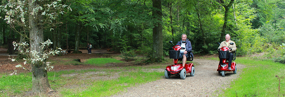 Larsen Mobility